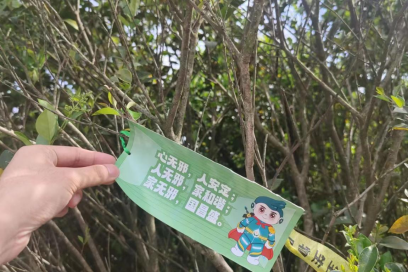 凝聚青春力量 共筑反邪防线——浙江宁波慈溪市匡堰镇开展勇攀高峰齐反邪活动436.png 凝聚青春力量 共筑反邪防线——浙江宁波慈溪市匡堰镇开展勇攀高峰齐反邪活动436.png