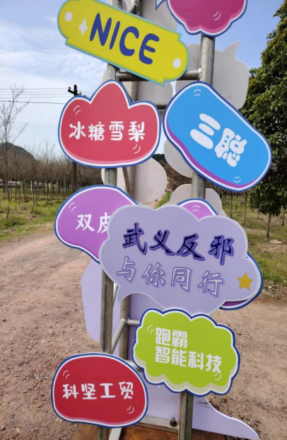 浙江省武义县茭道镇：千树万树樱花开  反邪教宣传迎客来361.png