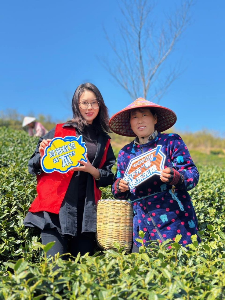 采茶工宣传简讯3.27621.png